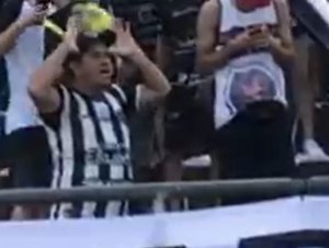 Botafogo-PB denuncia torcedor do próprio clube por suposta injúria racial; entenda 