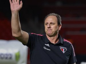 Bahia acerta a contratação do técnico Rogério Ceni